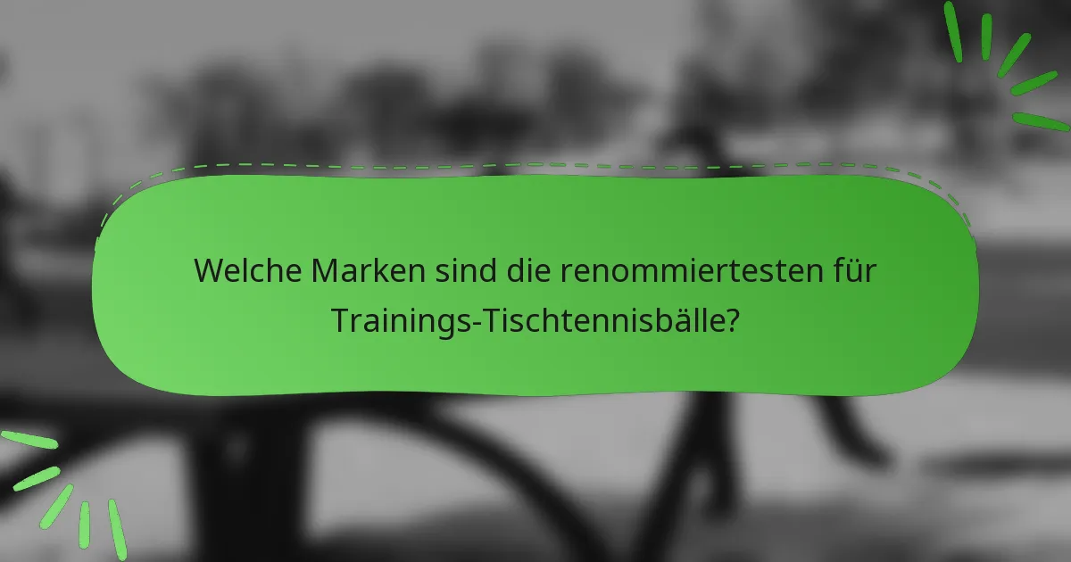 Welche Marken sind die renommiertesten für Trainings-Tischtennisbälle?